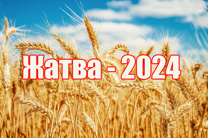 Жатва 2024