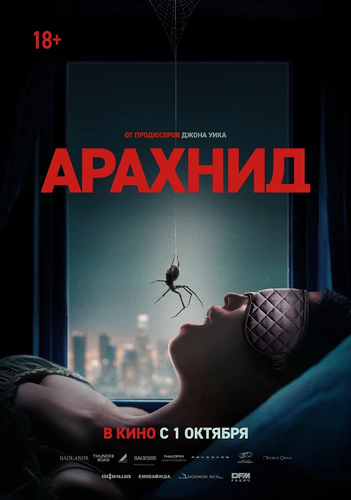 арахнид.jpg